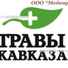 Лечебно-диагностический центр «Травы Кавказа»